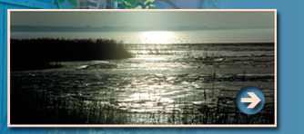 Landhäuser in Pieverstorf